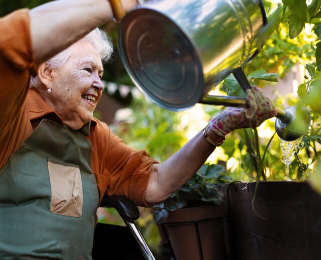 A person in a garden joyfully waters plants using a metal watering can, surrounded by lush greenery and potted plants.