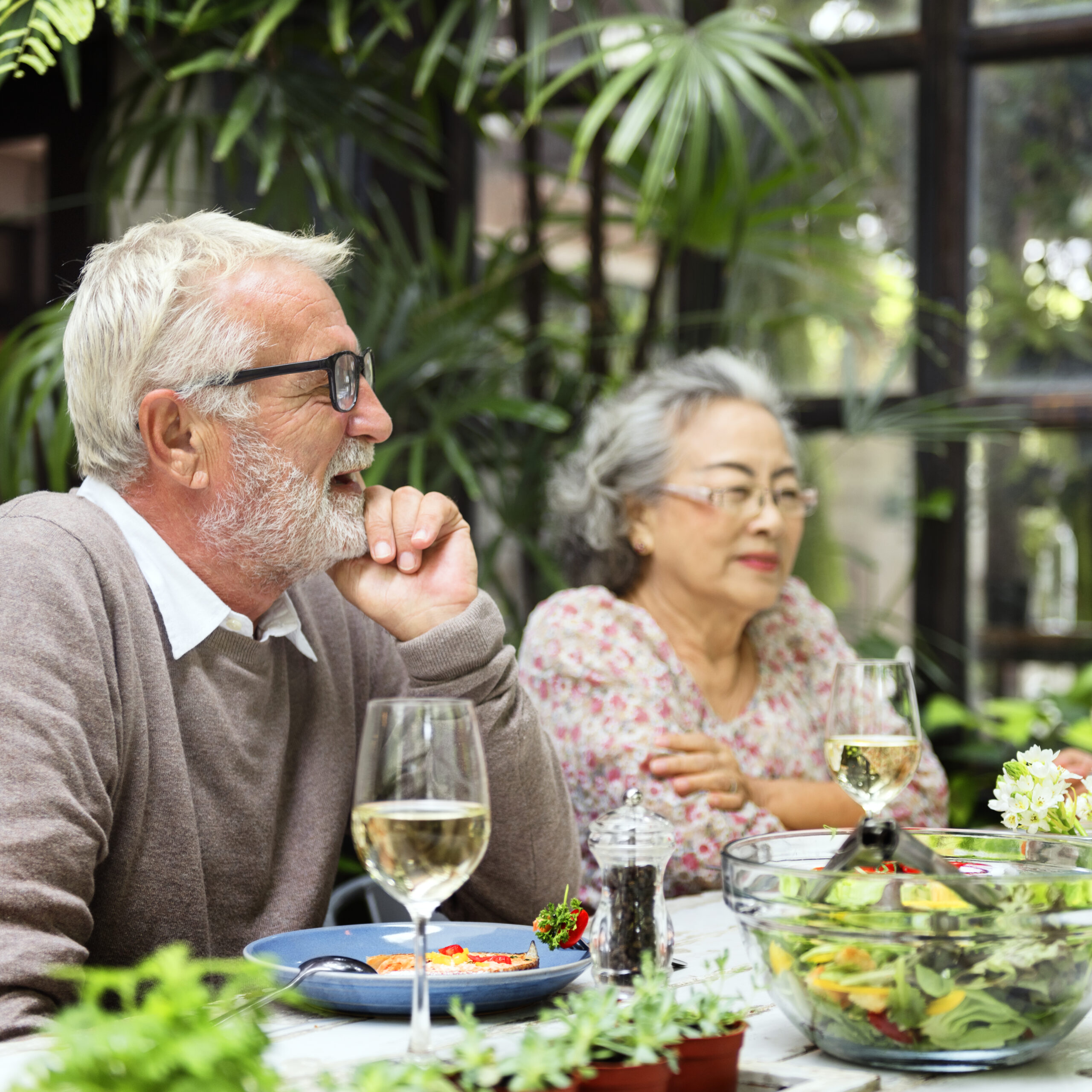 Two people enjoying a meal together, surrounded by lush plants indoors. Glasses of wine and salad bowls are on the table.